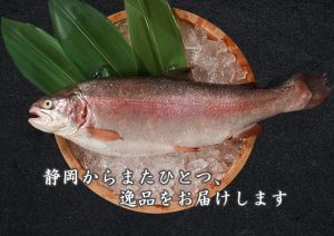 miho-salmonimageTOP01